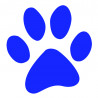 ADESIVO A BORDO PERSONALIZZATO ZAMPA STICKER AUTO CANE BLU
