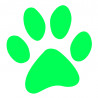 ADESIVO A BORDO PERSONALIZZATO ZAMPA STICKER AUTO CANE VERDE