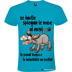 T-shirt personalizzata veneto è inutile spiegare agli asini perdi solo tempo colore turchese