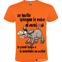 T-shirt personalizzata veneto è inutile spiegare agli asini perdi solo tempo colore arancio