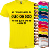 T-SHIRT PERSONALIZZATA VENETA VENETO SONO RESPONSABILE
