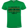 T-SHIRT PERSONALIZZATA VENETA VENETO SONO RESPONSABILE COLORE VERDE
