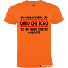 T-SHIRT PERSONALIZZATA VENETA VENETO SONO RESPONSABILE COLORE ARANCIO