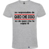 T-SHIRT PERSONALIZZATA VENETA VENETO SONO RESPONSABILE COLORE GRIGIO