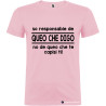 T-SHIRT PERSONALIZZATA VENETA VENETO SONO RESPONSABILE COLORE ROSA