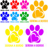 Adesivo personalizzato a bordo zampa con nome sticker