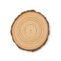 Set di 4 sottobicchieri tronco legno di pino personalizzati