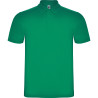Polo personalizzata uomo mezza manica colletto costina Austria colore verde